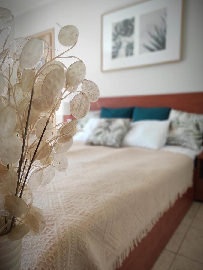 Lago Apartamenty I Pokoje Łeba Extérieur photo